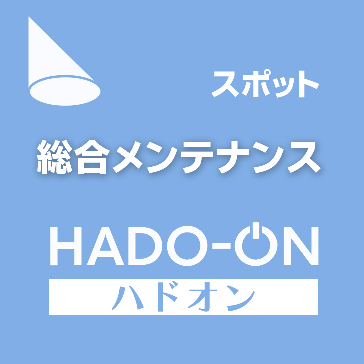 HADO-ON【スポット】総合メンテナンス６０分 ＜ダブル＞